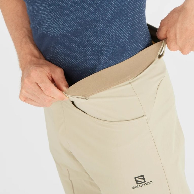 Khaki Salomon Wayfarer Men's Shorts | IE SR6018